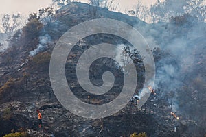 Burnt surface of the earth after a forest fire