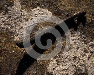 Burnt tree trunk on a charred forest floor.