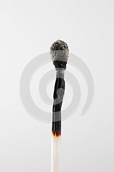 Burnt wax match on white background