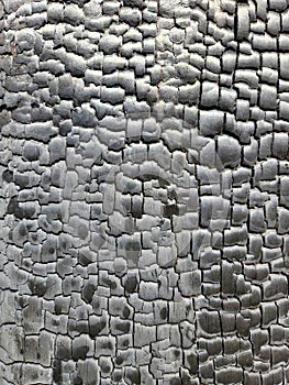 Burnt wood. Wood charred by fire. Texture of burnt wood