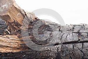 Burnt wood texture