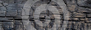 Burnt wooden Board texture. Burned scratched hardwood surface. Smoking wood halloween banner background