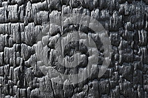 Burnt wooden board texture. Sho Sugi Ban Yakisugi is a traditional Japanese method of wood preservations