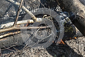 Burnt wooden logs close-up. Build a fire