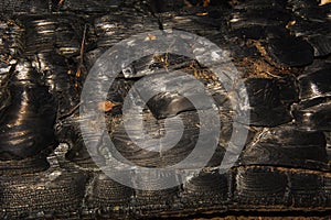 Burnt wooden with sand texture background. Rough black wood surface caused by burning fire. Dark material made from coal or