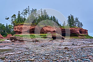 Burntcoat Head Bay of Fundy