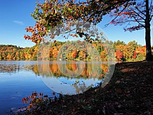 Burr pond state park early autumn lake views