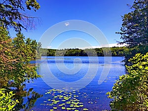 Burr Pond state park summer view photo