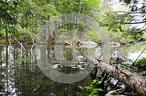 Burr Pond State Park Torrington Connecticut photo