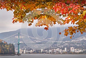 Burrard Inlet Fall Colours