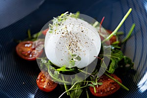 Burrata with paprika-truffle jam and cherry-cluster tomato salad. Delicious healthy Italian traditional food closeup