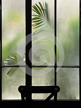 Burred monstera leaves with frosted glass of window cafe