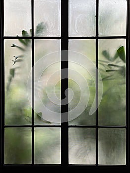 Burred monstera leaves with frosted glass of window cafe
