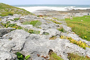 The Burren