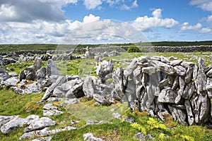 The Burren in County Claire