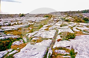 The Burren, County Clare, Ireland