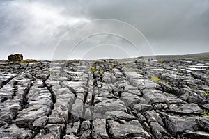 The Burren Cracked Rocks