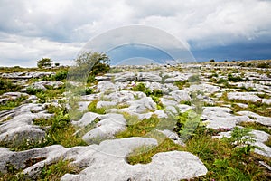 Burren National Park in Ireland, county Clare. Rough Irish nature. Beautiful landscape.