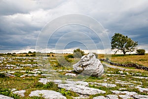 Burren National Park in Ireland, county Clare. Rough Irish nature. Beautiful landscape.