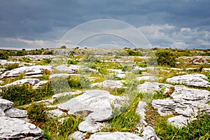 Burren National Park in Ireland, county Clare. Rough Irish nature. Beautiful landscape.