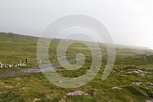 Burren Way, near Doolin, County Clare, Ireland