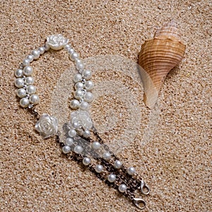 Burried bracelet and sea shell on the sand beach