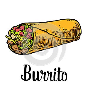 Burrito - mexican traditional food. Vector color vintage engraved illustration for menu, poster, web. Isolated on white background