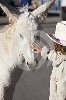 Burro with Child