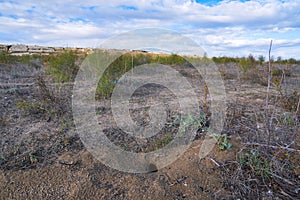 Burrow of a small steppe animal