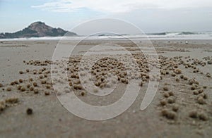Burrows of Ghost crab on sandy beach