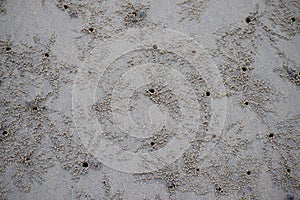 Burrows of Sand Bubbler Crabs at Aareware Beach, Ratnagiri, Maharashtra, India...