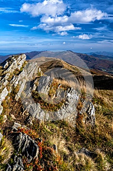 Burst of autumn colors in the mountains. Polonina Carynska, Bieszczady National Park, Carpathians, Poland