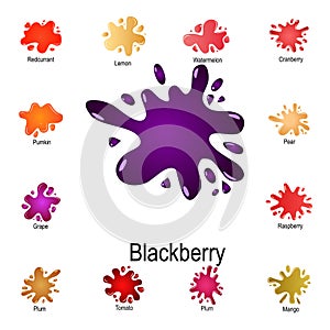 burst of blackberry juice icon. Detailed set of color splash. Premium graphic design. One of the collection icons for websites,