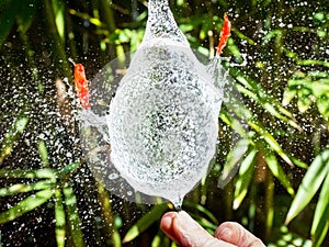 Burst Water Balloon with Bamboo Background