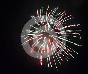 Bursting electric flower firework shines bright in the night sky illuminated red and white streaks of light