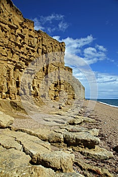 Burton bradstock photo