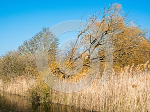 Burwell Lode waterway on Wicken Fen