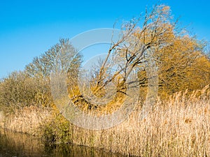 Burwell Lode waterway on Wicken Fen