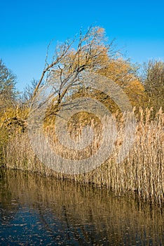 Burwell Lode waterway on Wicken Fen