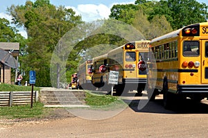 Bus line up for afterschool Delivery