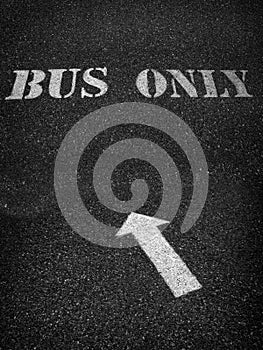 Bus Only Sign Painted on Roadway Asphalt for Direction