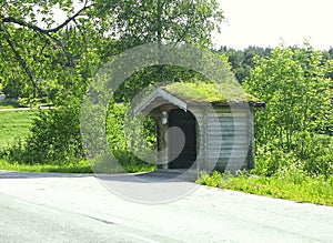 Bus stop with a green roof in Norway