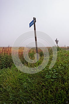 Bus Stop In The Mist