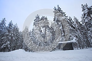 Bus stop in winter snowy forest