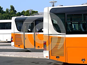 Buses