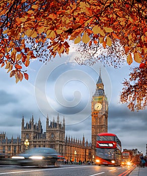 Buses with autumn leaves against Big Ben in London, England, UK