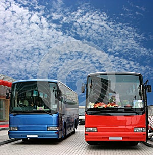 Buses waiting for passenger photo