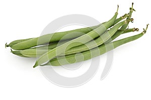 Bush beans (Phaseolus vulgarism)