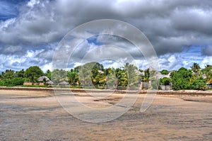 Bush Camp on Beach in Mozambique