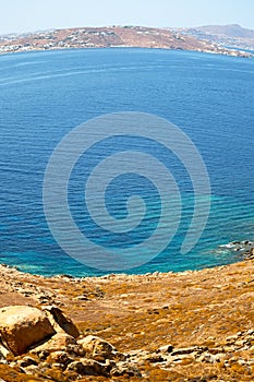 bush in delos greece the historycal acropolis and old ruin sit